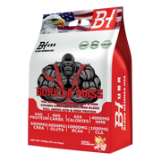 BHN GORILLA Mass Gainer